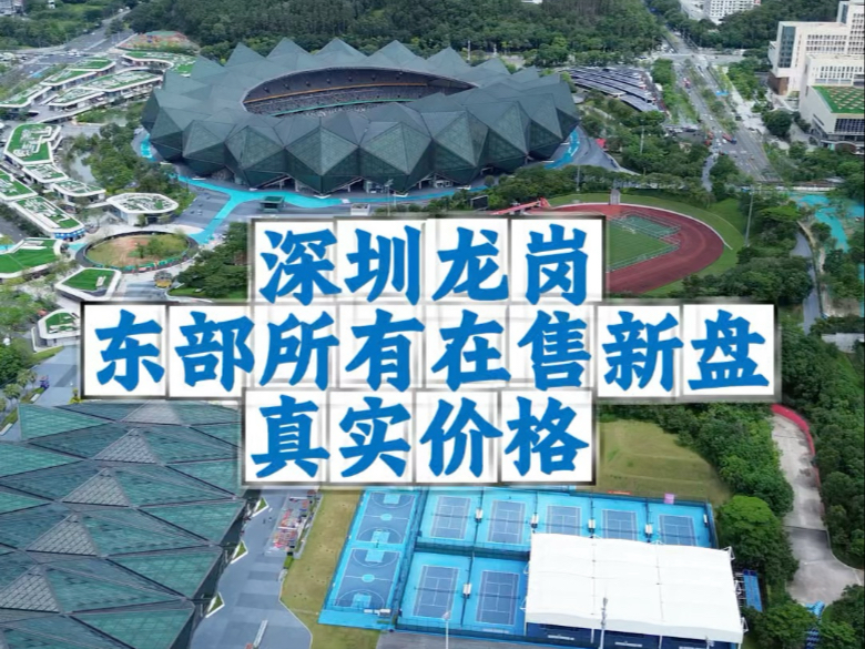考虑龙岗新房的朋友一定要看完，深圳龙岗东部17个在售楼盘真实情况单价从不到两万到五万多总价从一百多万到八百多万不等#深圳买房 #龙岗新房 #三青探房 #龙岗买房